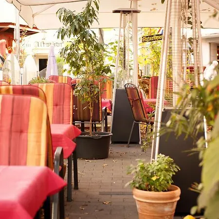 Neubert's Am Rhein Guest house